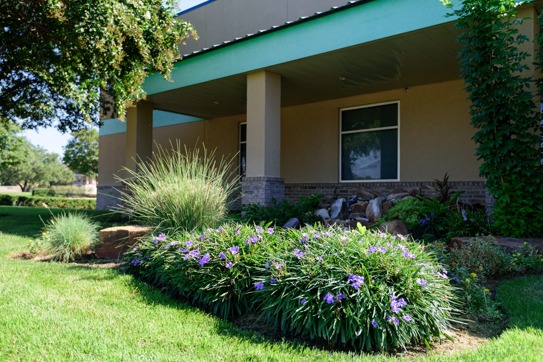 Austin, TX Commercial Landscape Maintenance Case Study Ewing